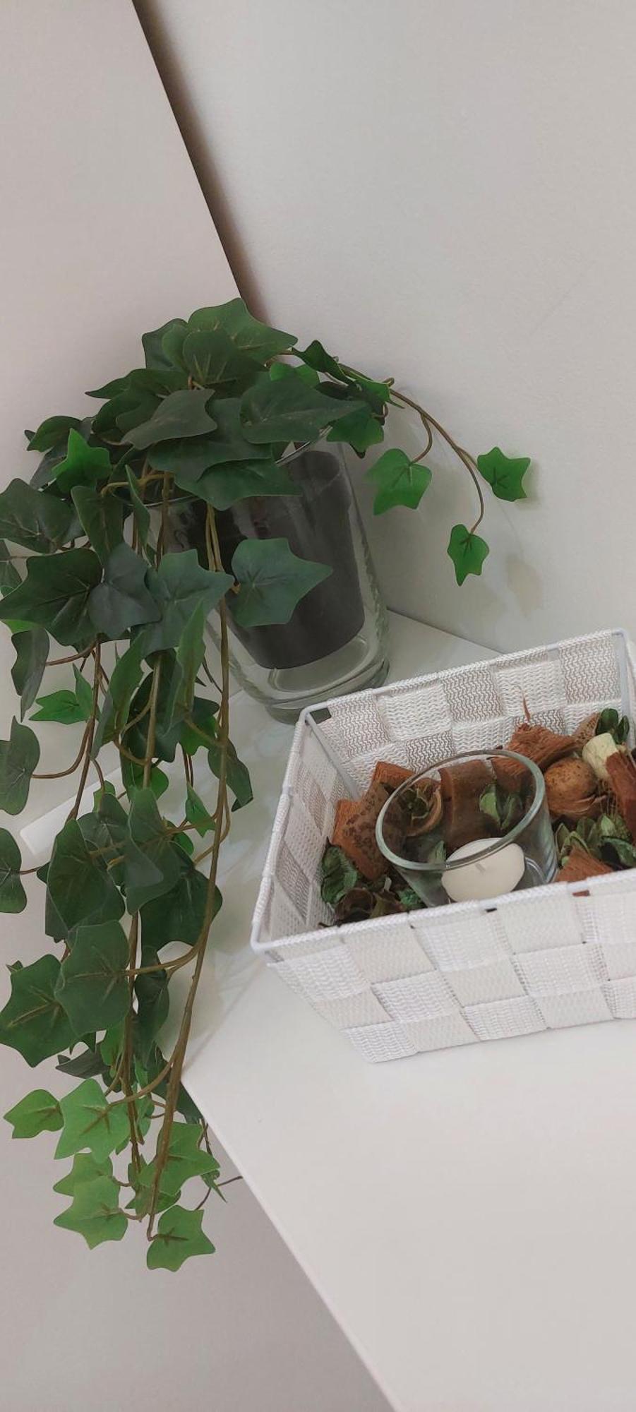 La Maison De Cavour カターニア エクステリア 写真